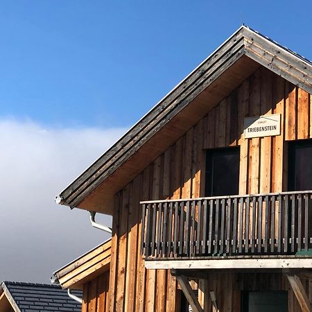 Chalet Triebenstein هوهنتاورن المظهر الخارجي الصورة